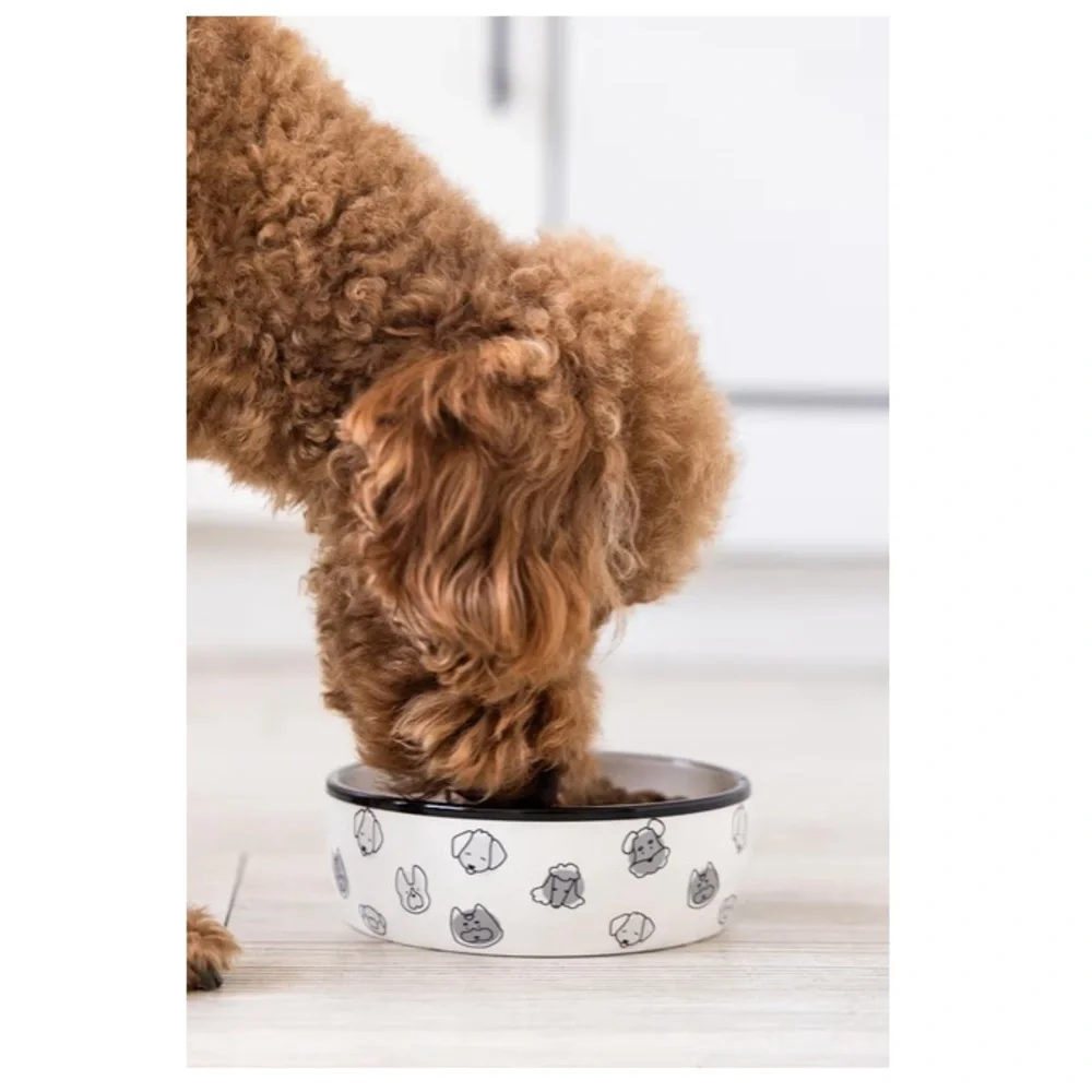 Pearhead Ceramic Dog Faces Dog Bowl, Holds 2 Cups, Stoneware Food and Water Dish
